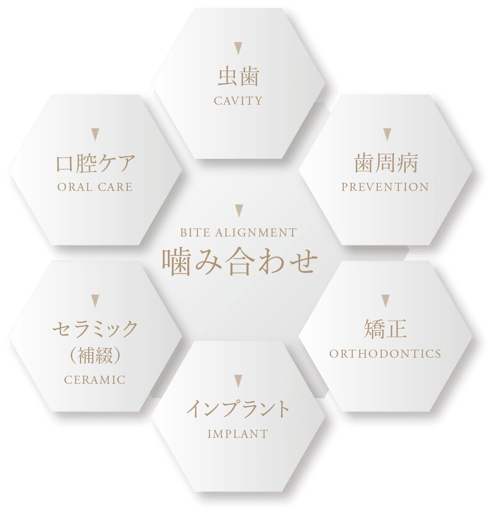 京橋 銀座みらい歯科の「噛み合わせ」を軸にした歯科治療の模式図