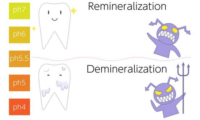 京橋 銀座みらい歯科院長コラム｜口腔内PH値と唾液のはたらき｜PH値と唾液の緩衝作用